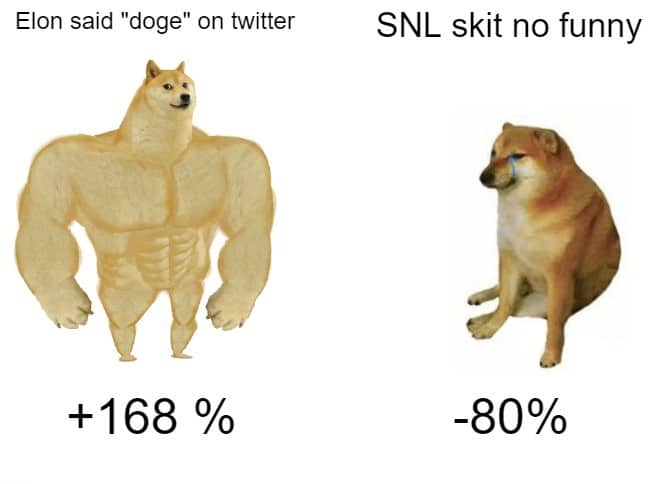 dogecoin meme on